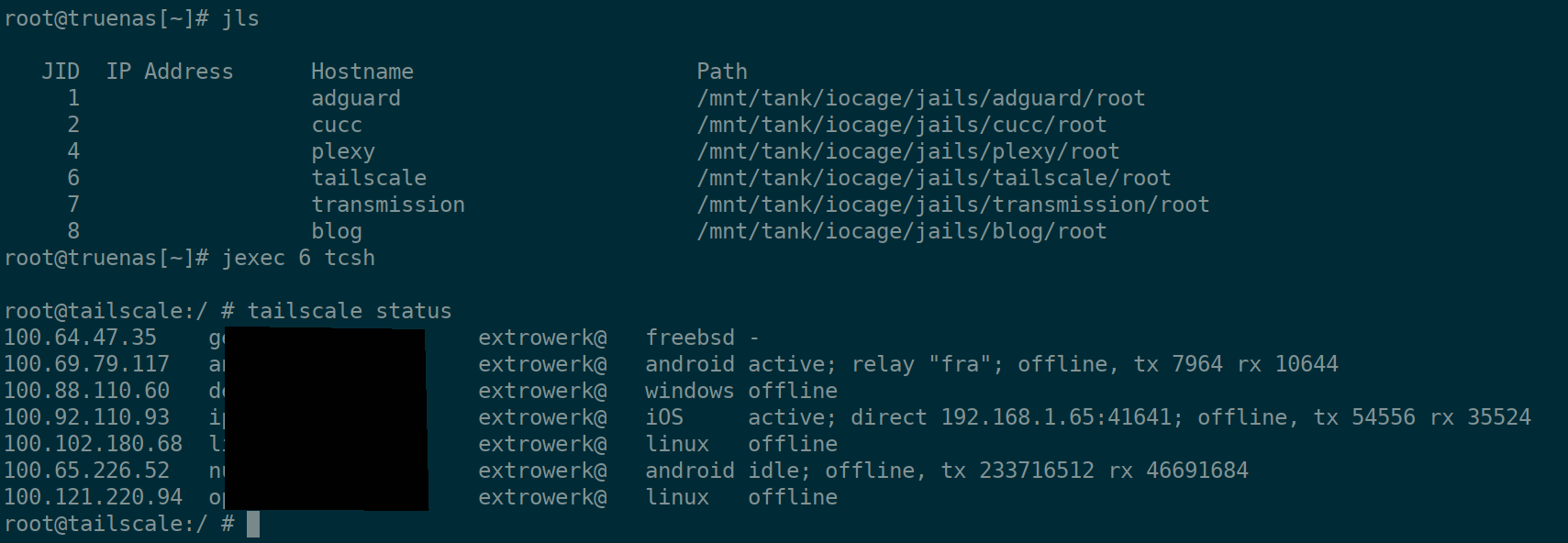 Tailscale daemon on the NAS